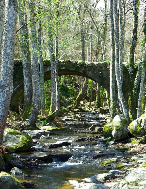 Casa Rural Amparo Mogarraz Værelse billede